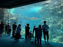 The Florida Aquarium