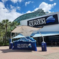 The Florida Aquarium photo 3