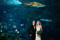 The Florida Aquarium photo 4