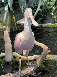 The Florida Aquarium photo 6