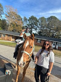 Raleigh mobile zoo & pony rides photo 2