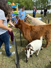 Raleigh mobile zoo & pony rides photo 3