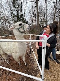 Raleigh mobile zoo & pony rides photo 5