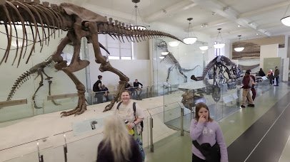 American Museum of Natural History photo 2