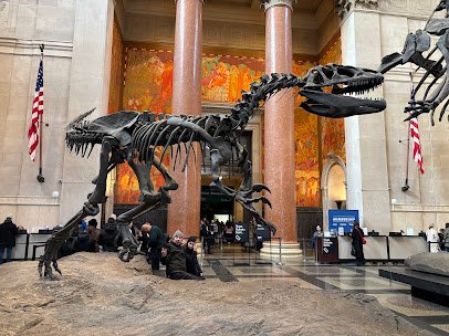 American Museum of Natural History photo 4