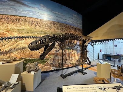 The Journey Museum photo 5