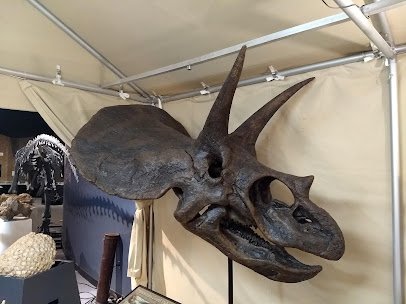 The Journey Museum photo 6