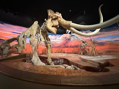 Nevada State Museum, Carson City photo 3