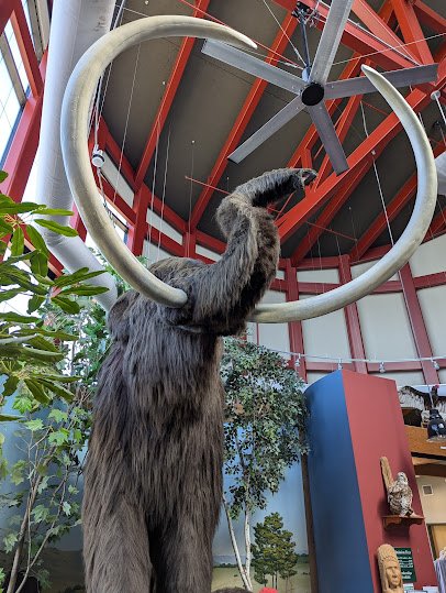 Remington Nature Center photo 5