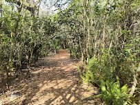 Secret Woods Nature Center photo 5