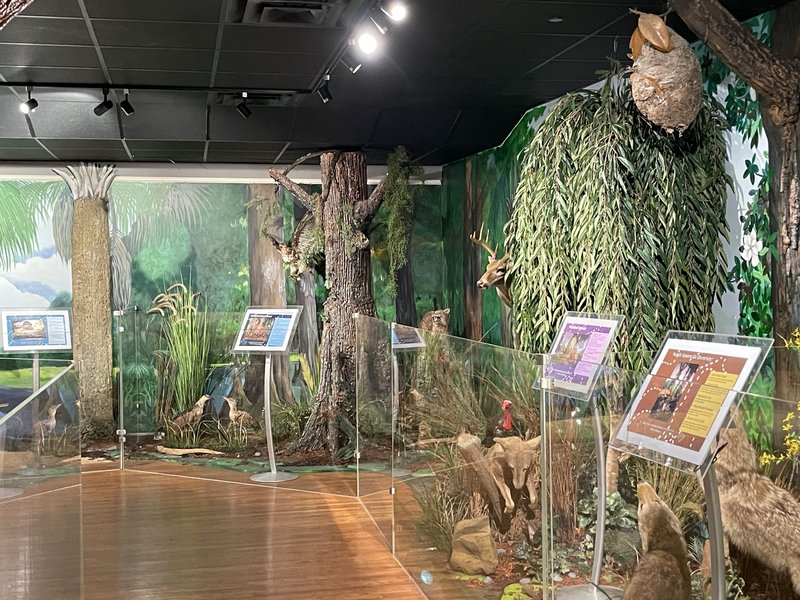 Greenwood Museum photo 5