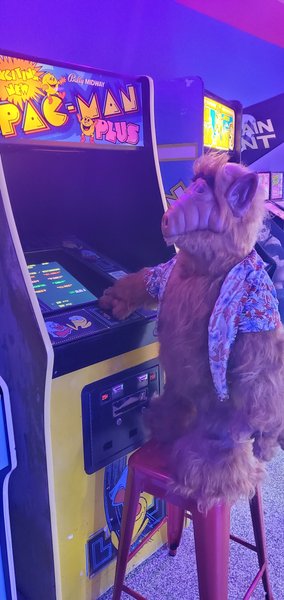 Extra Lives Arcade and Pizzeria photo 5