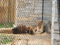 Zoo Farm