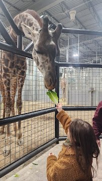 Zoo Farm photo 2