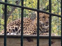 Zoo Farm photo 3