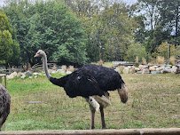 Zoo Farm photo 4