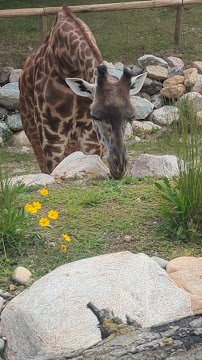 Zoo Farm photo 5
