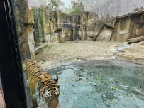 Zoo Farm photo 6