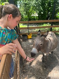 DK Farms & Gardens photo 3