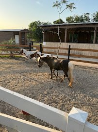 DK Farms & Gardens photo 4