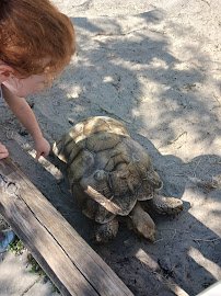 DK Farms & Gardens photo 5