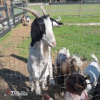 DK Farms & Gardens photo 6