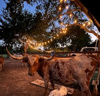 Turquoise Acres Ranch photo 6