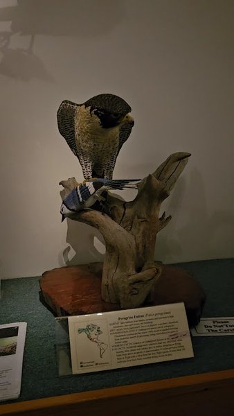 Birds of Vermont Museum photo 2