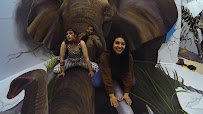 World of Illusions Los Angeles photo 2