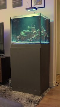 Woody's Seahorse Aquarium & Supply photo 2