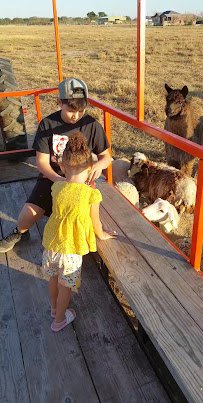 Bow Champs Exotic Petting Zoo photo 2