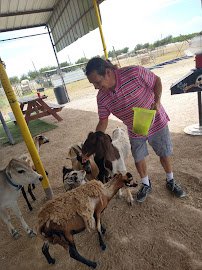 Bow Champs Exotic Petting Zoo photo 6