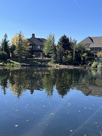 Everything Ponds and Aquariums LLC photo 2