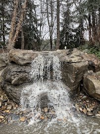 Everything Ponds and Aquariums LLC photo 3