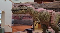 New Mexico Museum of Natural History and Science photo 2