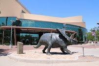 New Mexico Museum of Natural History and Science photo 3
