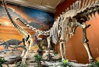 New Mexico Museum of Natural History and Science photo 4