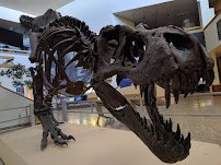New Mexico Museum of Natural History and Science photo 5