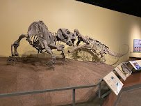 New Mexico Museum of Natural History and Science photo 6