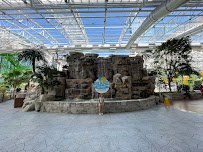 Island Waterpark at Showboat photo 4