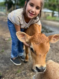 My Fiesta Fairy LLC *Mobile Petting zoo & Pony rides