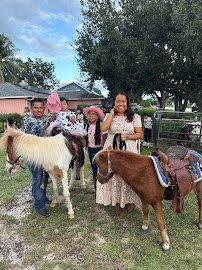 My Fiesta Fairy LLC *Mobile Petting zoo & Pony rides photo 2