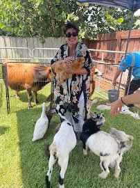 My Fiesta Fairy LLC *Mobile Petting zoo & Pony rides photo 3