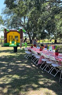 My Fiesta Fairy LLC *Mobile Petting zoo & Pony rides photo 6