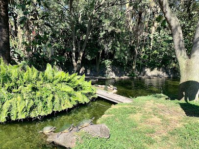 Alligator Habitat photo 3
