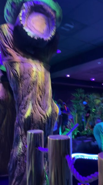 Rainforest Black Light Golf & Arcade photo 2