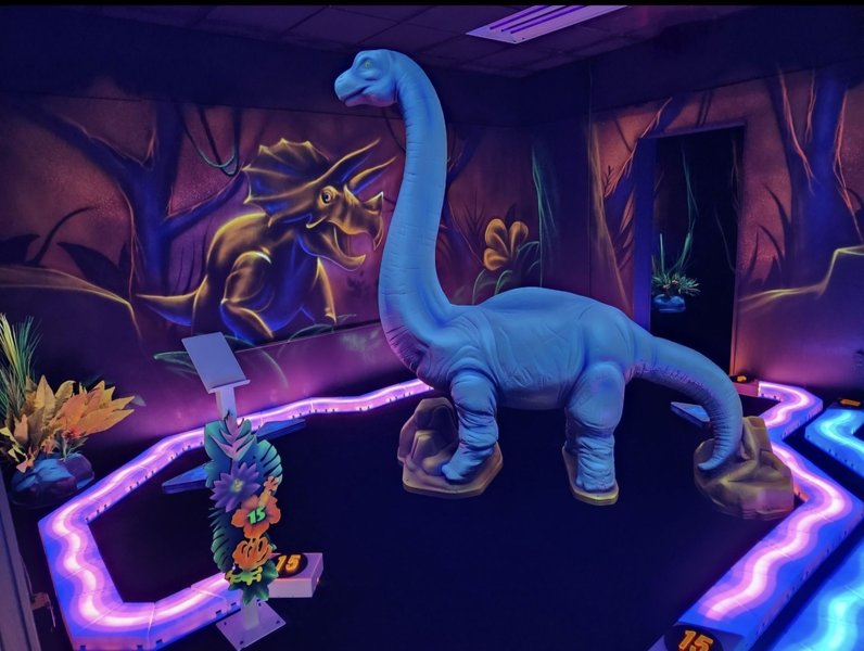 Rainforest Black Light Golf & Arcade photo 5