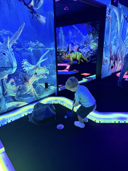 Rainforest Black Light Golf & Arcade photo 6