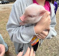 Road 380 Farm & Petting Zoo photo 2