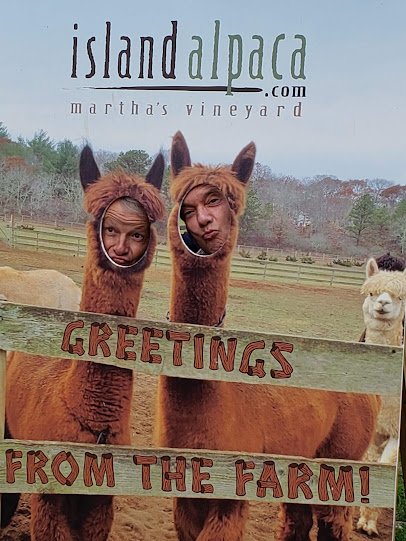 Island Alpaca Company photo 6